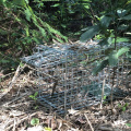 Squirrel Trap Inklapbare Humane Live Squirrel Cage Trap